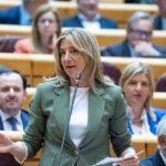 La portavoz del PP en el Senado, Alicia García.